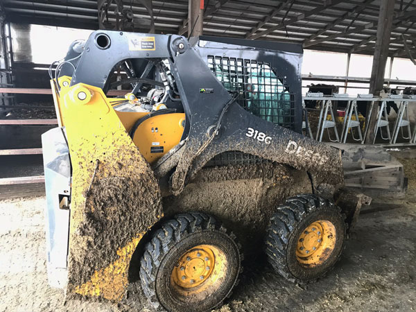 John Deere 318G mudaga kaetud minilaadur farmi laudas lehmade taustal