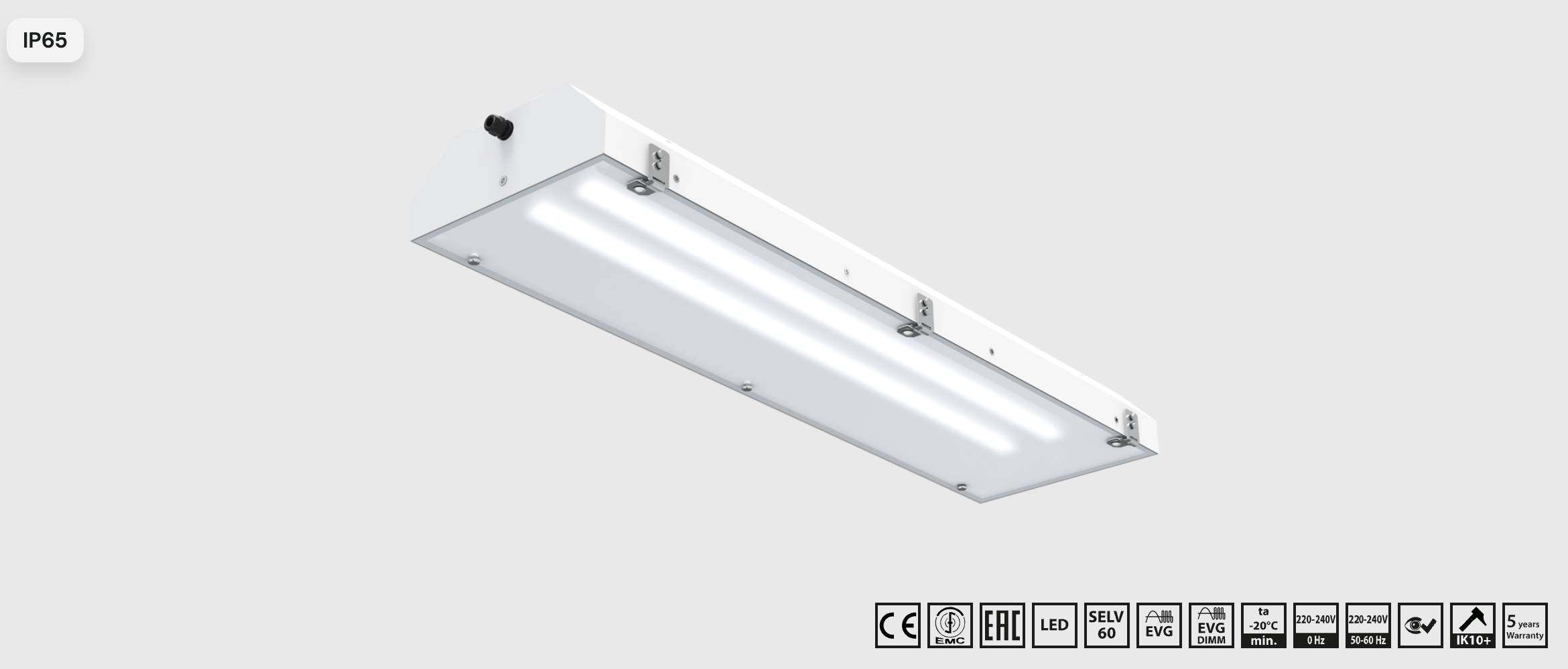 Valge IP65 LED-tööstusvalgusti kaablisisendi ja hajutiga, IK10+ löögikindlusega